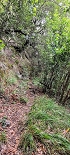 Plants: image 13 Of 208 Thumb